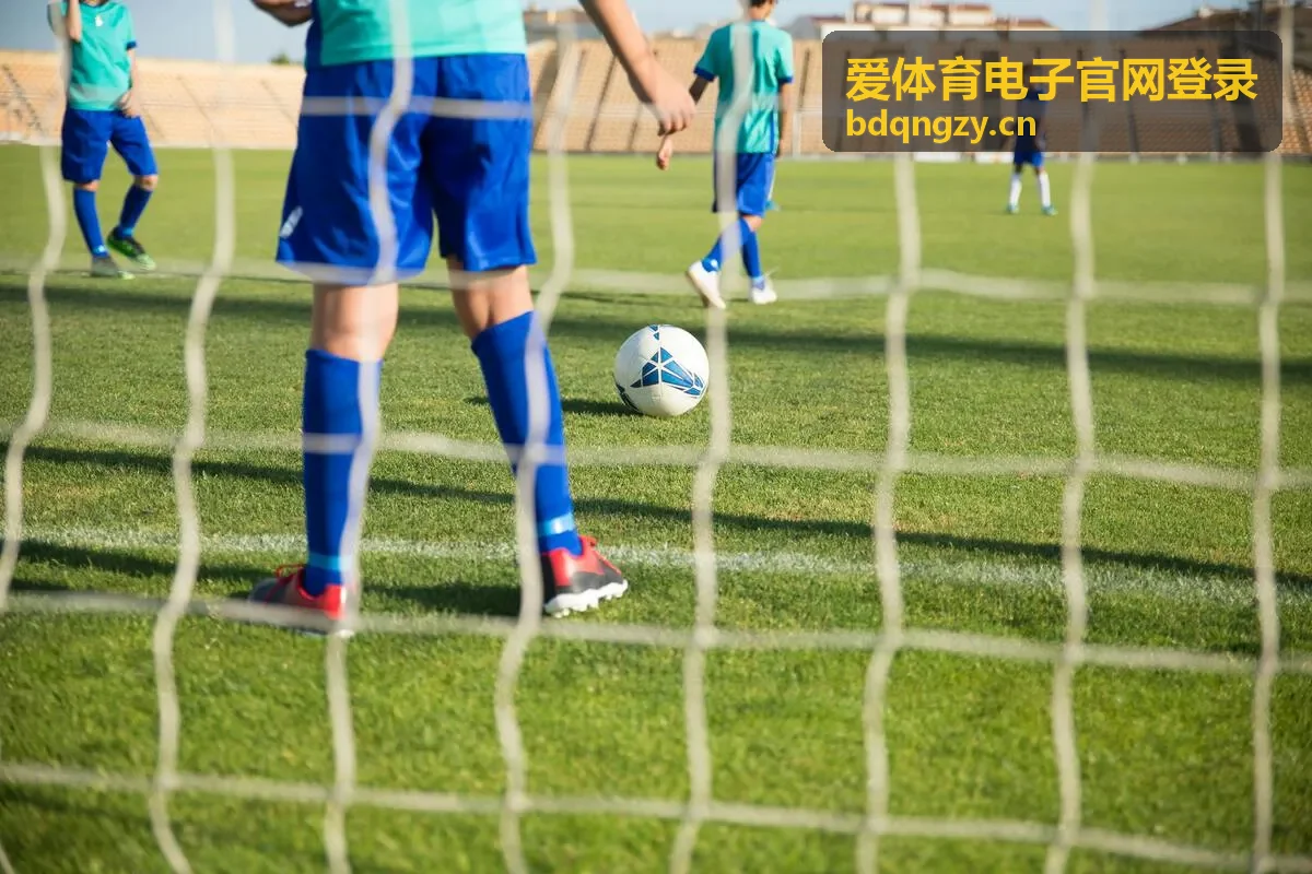 爱体育电子官网登录指南与账号安全说明