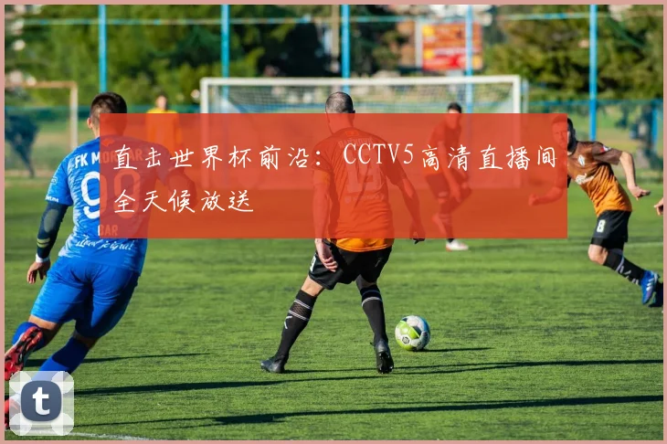 直击世界杯前沿：CCTV5高清直播间全天候放送