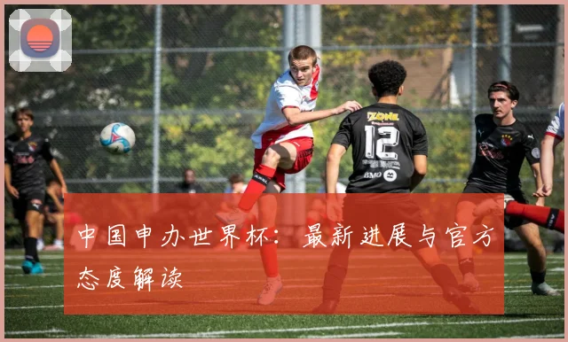 中国申办世界杯：最新进展与官方态度解读